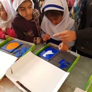 مزرعه فکر لکو بوشهر