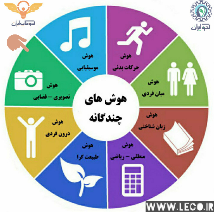 هوش تجسمی فضایی در هوش های چندگانه گاردنر