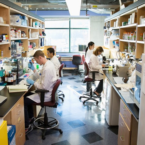 آزمایشگاه کوچک