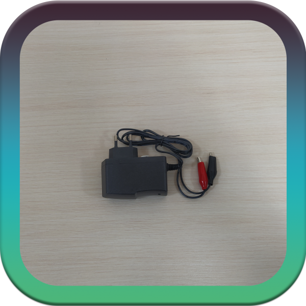 شارژر 12 ولت 1 آمپر تکی